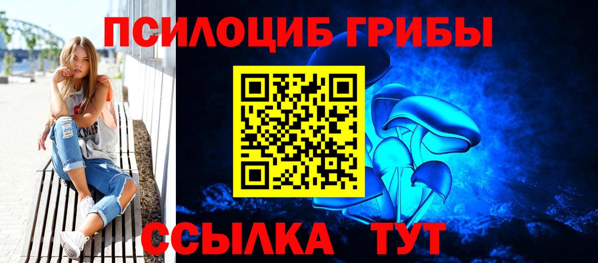 Псилоцибиновые грибы мухоморы  Вход с VPN  наркошоп  Элиста  Псилоцибиновые грибы GOLDEN TEACHER 