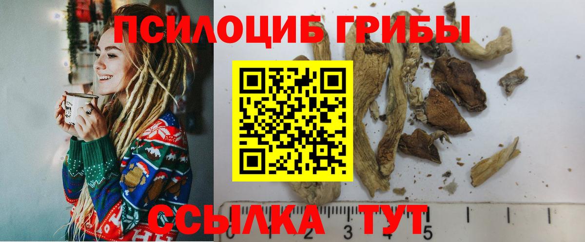 Псилоцибиновые грибы MAGIC MUSHROOMS Элиста